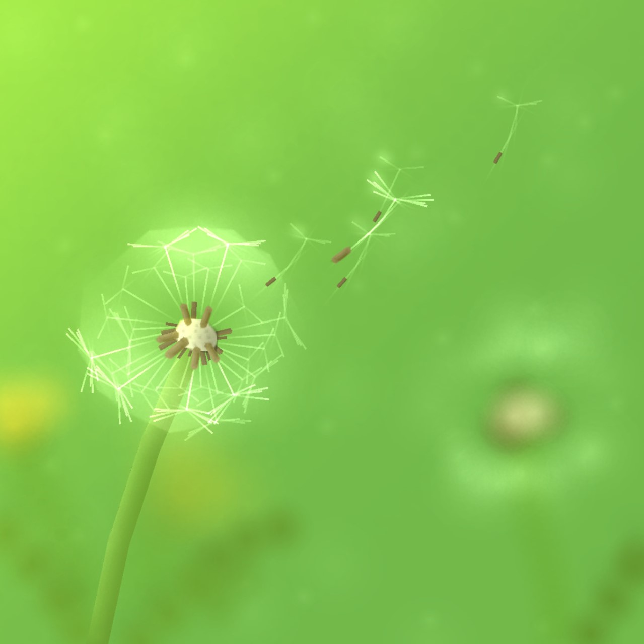 Dandelion