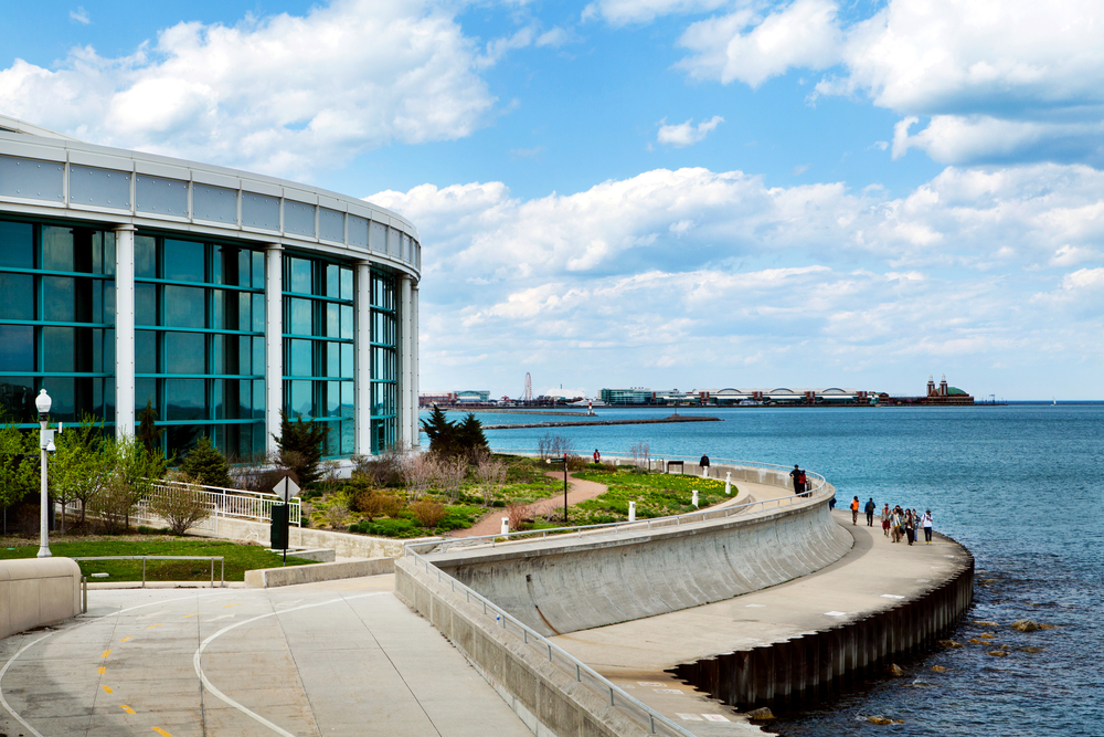 shedd aquarium